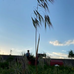 Meet your Posher, Braden